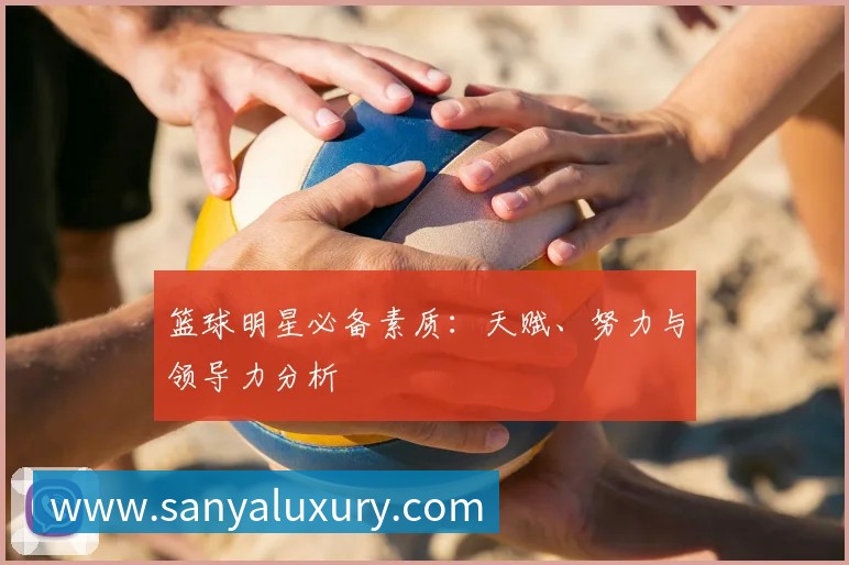 登录器