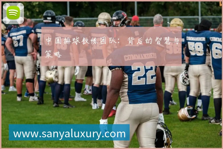 中国排球教练团队:背后的智慧与策略