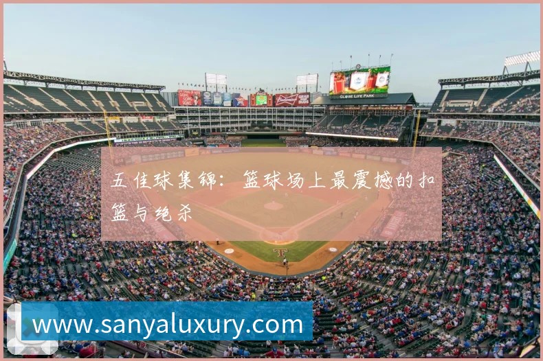 中国排球明星球员专访：赛场背后的故事
