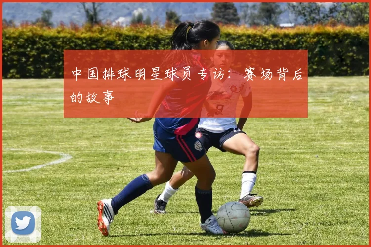 九游体育平台生态图