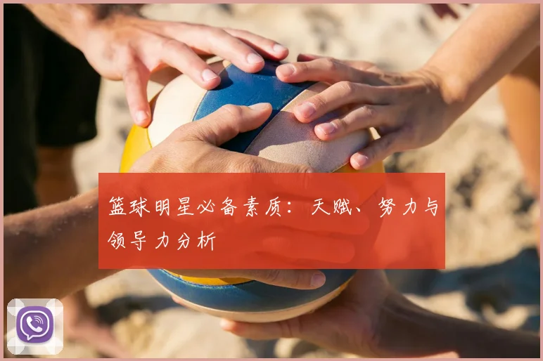 登录器 登录器